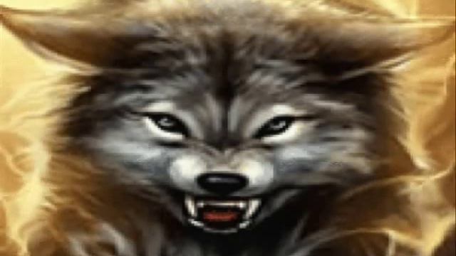 Владение белой Волчицы. смотреть онлайн