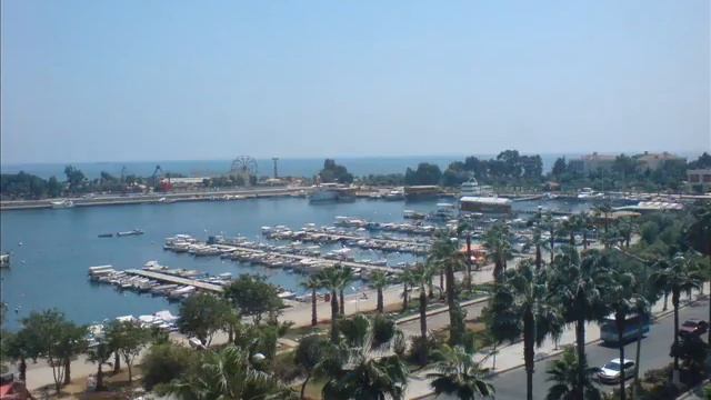 Attila_Hun Siktir Git смотреть онлайн