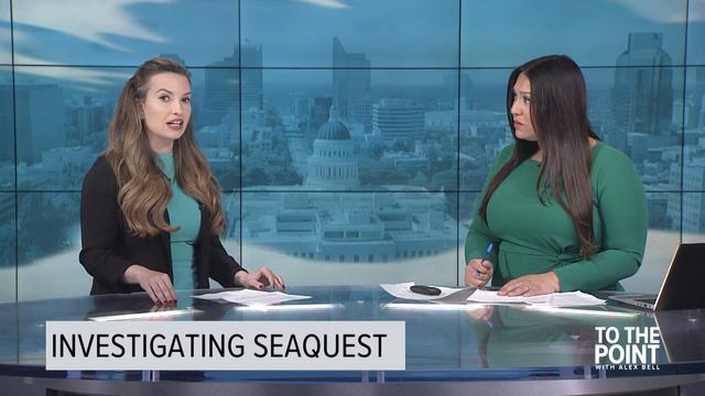 Davis stabbing suspect in court for a second day | Feb 27, 2024 смотреть онлайн