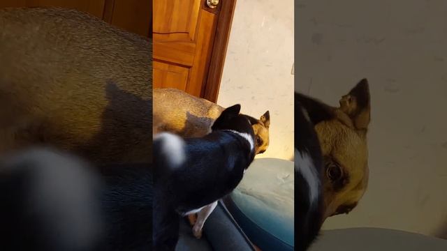 Как начинается наше утро?✨️?? смотреть онлайн