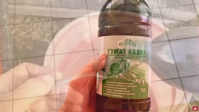 КАБАЧКИ обожают ЭТО! Всего ОДНА ПОДКОРМКА и кабачки ЗАВАЛЯТ вас УРОЖАЕМ! Плодоносят ДО ХОЛОДОВ! смотреть онлайн