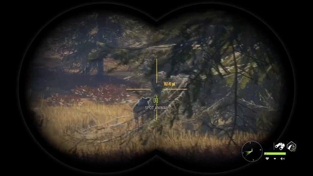 Shooting a possibly glitched White Tail GREAT ONE with the Recurve Bow in Call Of The Wild смотреть онлайн