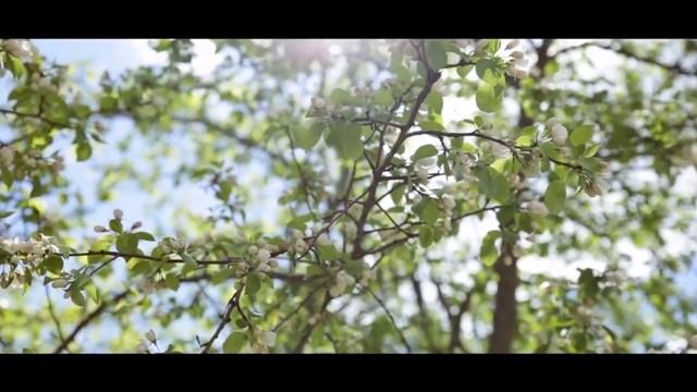 ИСТОРИЯ ПРАЗДНИКА #2 Поздравительный ролик на день защиты детей! смотреть онлайн