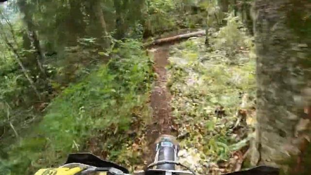 Гонка Мишка Косолапый 2021 смотреть онлайн