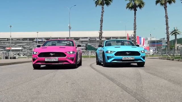 Гендер пати 🩷🩵 смотреть онлайн