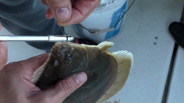 Ловим камбалу на донную снасть в Японском море смотреть онлайн