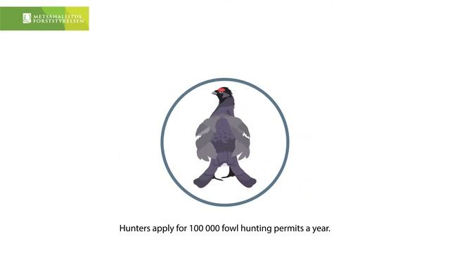 Game benefits from hunting - The Finnish model смотреть онлайн