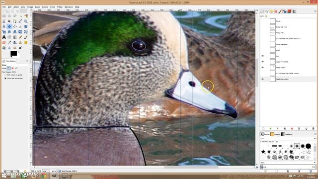 Using Gimp to create decoy patterns : Part 6 - Head Top Profile смотреть онлайн