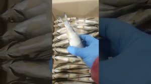 Царская Донская Шамайка, зимняя, вяленная