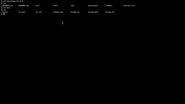 Keycloak Installation on Mac смотреть онлайн