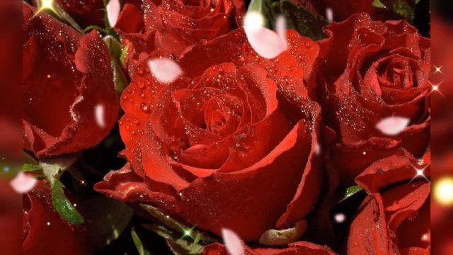 С ДНЁМ ТЁЩИ смотреть онлайн