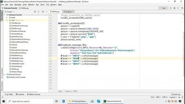 Selenium Python Logging | Python Selenium Logging | Selenium Custom Logging | Selenium Logging