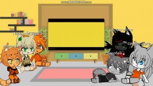 реакцыя котов воителей на мемы 2/? (смотрите описание)