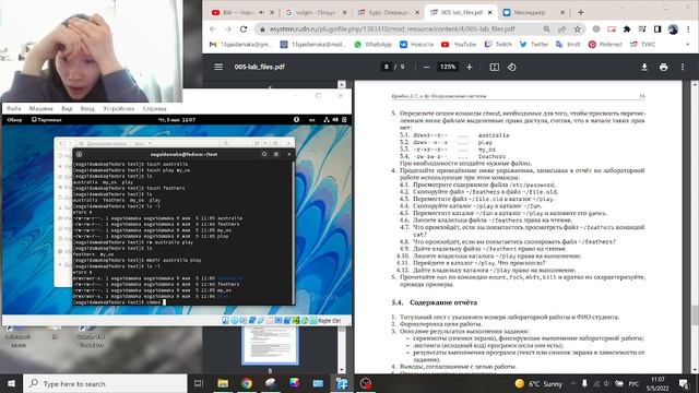 Лаб 5 вид 1 смотреть онлайн