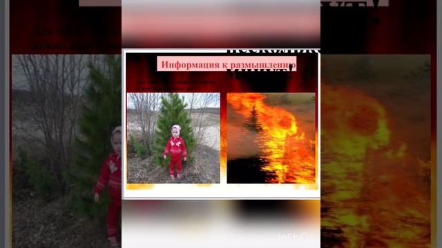 Берегите лес от пожара смотреть онлайн
