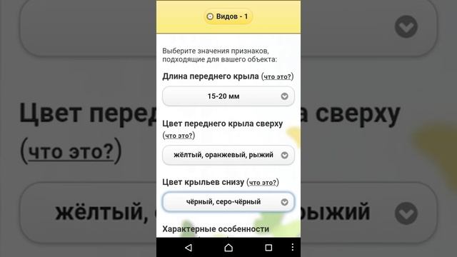 ЭкоГид: Определитель бабочек смотреть онлайн
