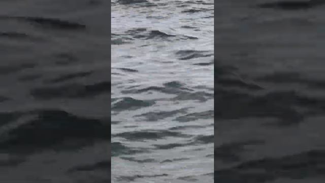 Китайское море смотреть онлайн