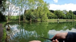 Как ловить Форель на Воблеры |  Завалил трофей |  Рыбалка в Европе