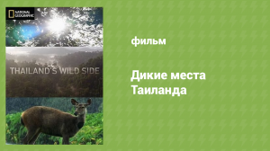 Дикие места Таиланда 2 серия «Брачные игры» (документальный сериал, 2019)