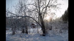 Лариса Мондрус - Опять зима