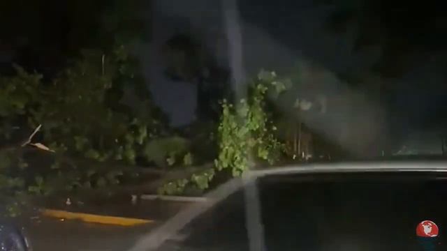 Fallen Trees, Floods And Lightning! Hurricane Ian Also Caused Damage In Venezuela