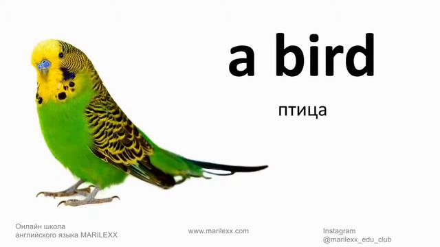 43. Pets ("Домашние питомцы" учим слова) смотреть онлайн