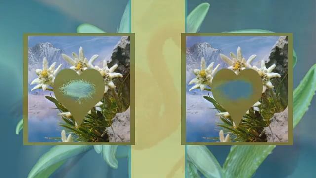 Эдельвейс.Edelweiss смотреть онлайн