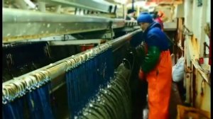 Бригадный подряд   Welcome Aboard! СРТМ А8