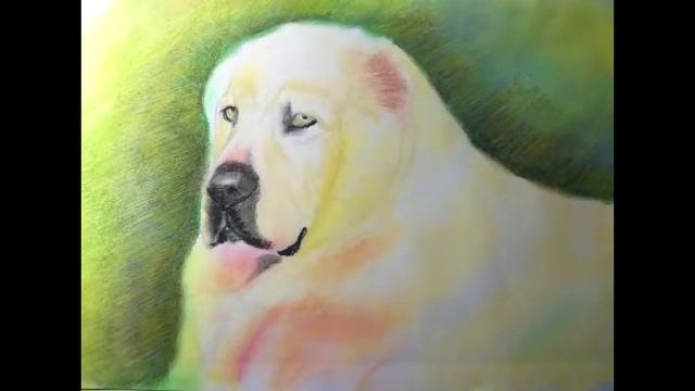 Рисование собаки породы Алабай Drawing A Dog Of The Alabai Breed