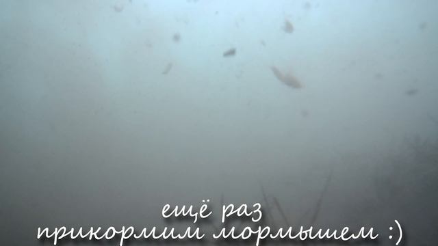 Первый лёд /Рыбалка на окуня/Подводные съемки смотреть онлайн