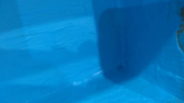 Тестируем полимерную гидроизоляцию Лакра Prof IT