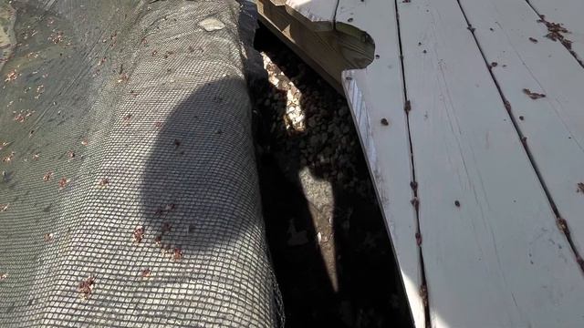 DIY deck repair! You can do it too!(Filling the gap from an existing deck to a new pool) смотреть онлайн