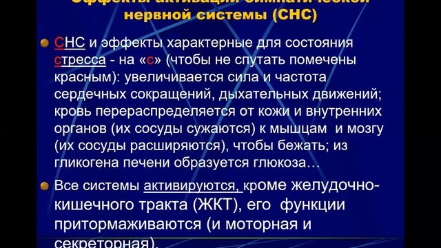 5.04.2021 - Физиология ВНС смотреть онлайн