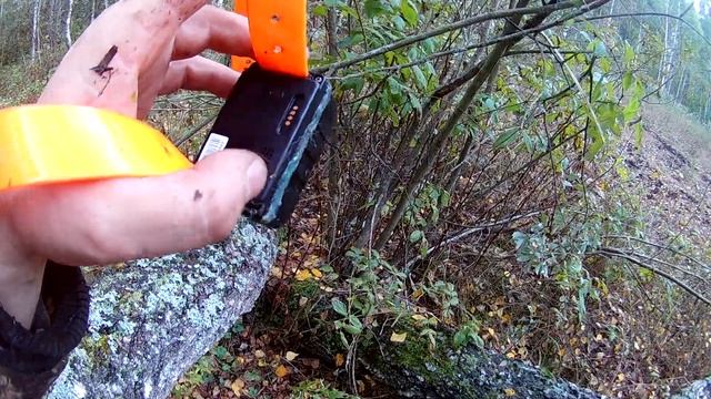 Охотничий GPS трекер IK122 смотреть онлайн