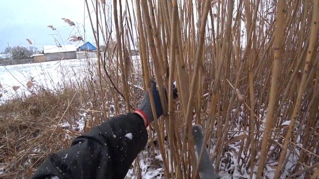 Заготовка камыша по первому снегу смотреть онлайн