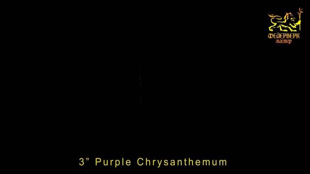 3" Purple Chrysanthemum смотреть онлайн