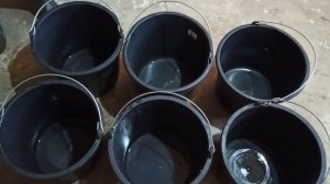 мой метод кормления телят с 2 месяцев