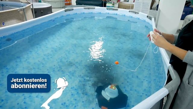 Bestway FlowClear Aquarover ? Pool Saugroboter Bestway  | Hertie
