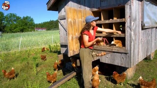 Domina la Estrategias para Mejorar tu Organización y Planificación смотреть онлайн