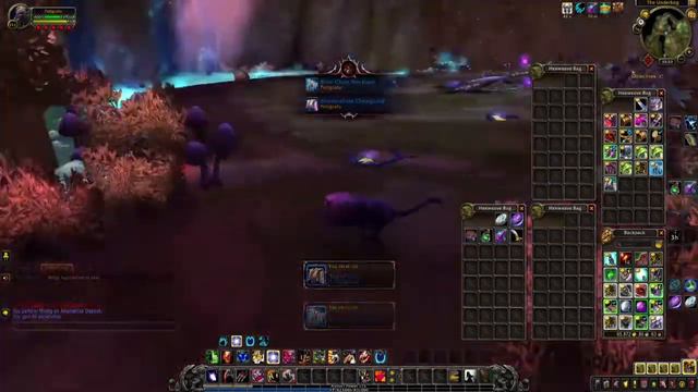 [WOW BFA GOLD FARM 8.3] - 10000- 20000 Gold/Hour Farming Underbog (TBC) смотреть онлайн