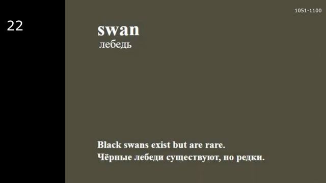 Английский язык. 5000 ТОП слов. Урок 22 на английском смотреть онлайн