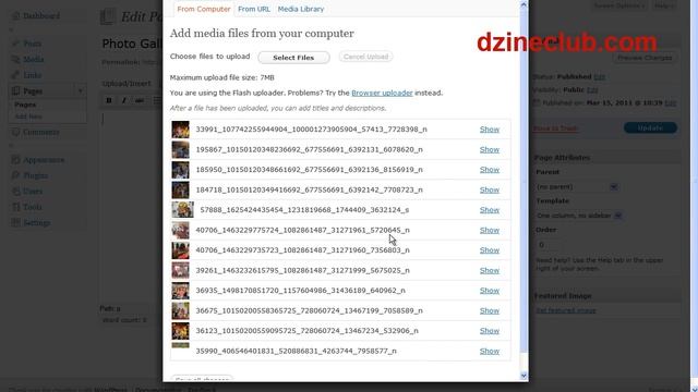 Adding Photo Gallery to Wordpress - DzineClub Australia смотреть онлайн