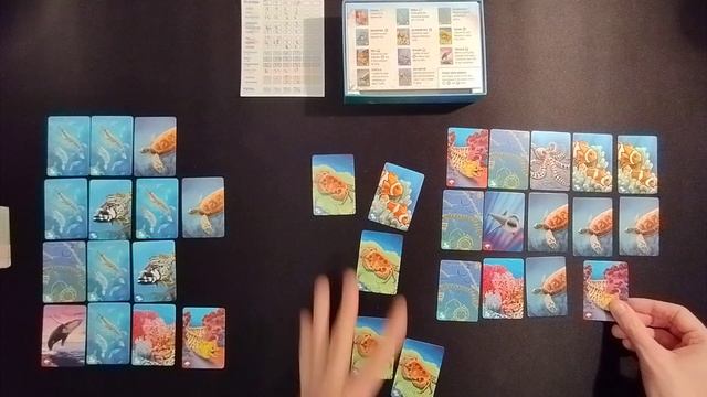 Ecosystem: Coral Reef solo playthrough. Educational board game drafting Sushi Go AmassGames pretty смотреть онлайн