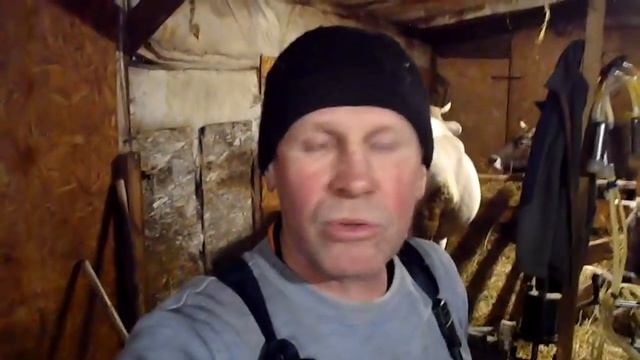 Про сено . смотреть онлайн
