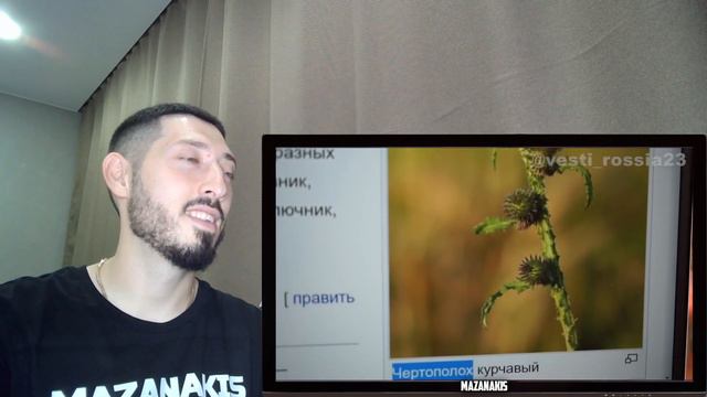 MAZANAKIS СМОТРИТ Владимир у бабушки |Реакция на Россия 23| смотреть онлайн