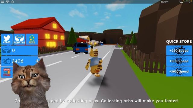 ROBLOX DASHING SIMULATOR CODES