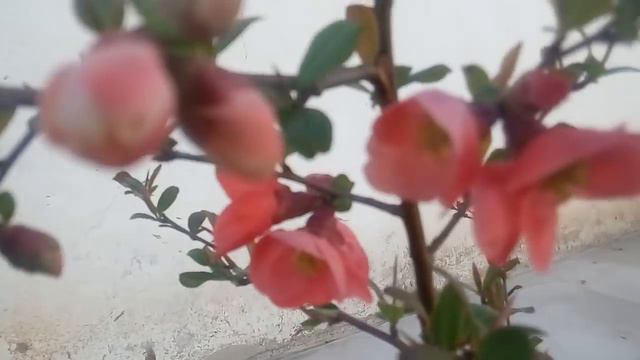 РЕАЛИТИ. ПЛАН РАБОТ И УБОРКИ 22.04.2019 смотреть онлайн