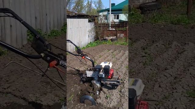 Мотоблок Угра на вспашке. смотреть онлайн