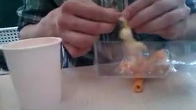 Мои приключения.В.Г.