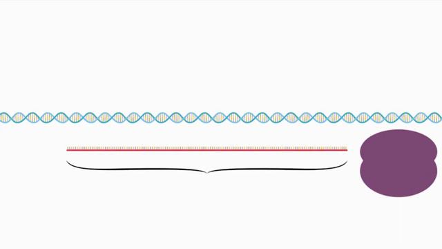 SINTESIS PROTEIN Dina Mariana2021 смотреть онлайн